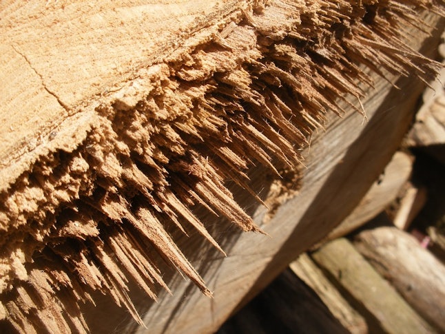 Can You Die From Getting a Splinter? Yes, but Here's Why It's Not Likely