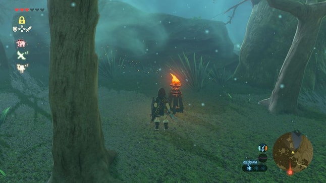 Zelda Breath Of The Wild Lost Woods Guide How To Find The