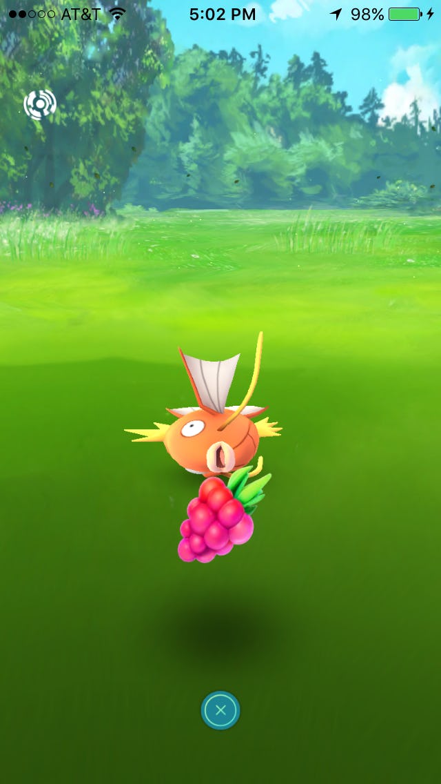 'Pokémon Go' Johto Update How the new berries work and why they're so important