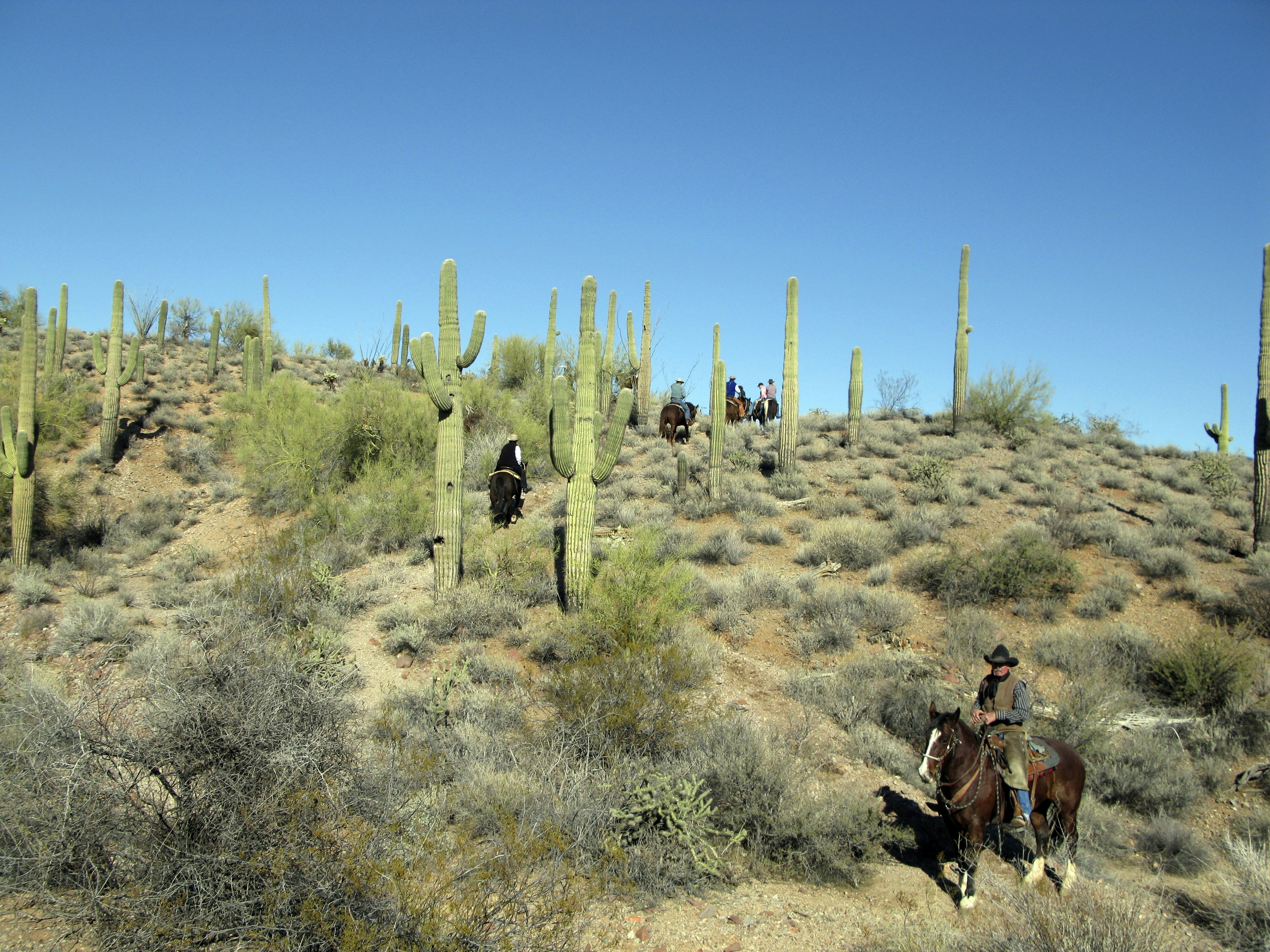 How Wickenburg, Arizona, a town of 7,000, became the rehab capital of the US