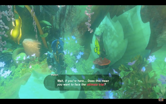Riddles Of Hyrule Walkthrough How To Solve Riddles Zelda Breath Of The Wild Botw Game8