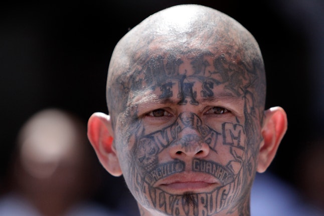 what-does-ms-13-stand-for-5-facts-to-know-about-the-international