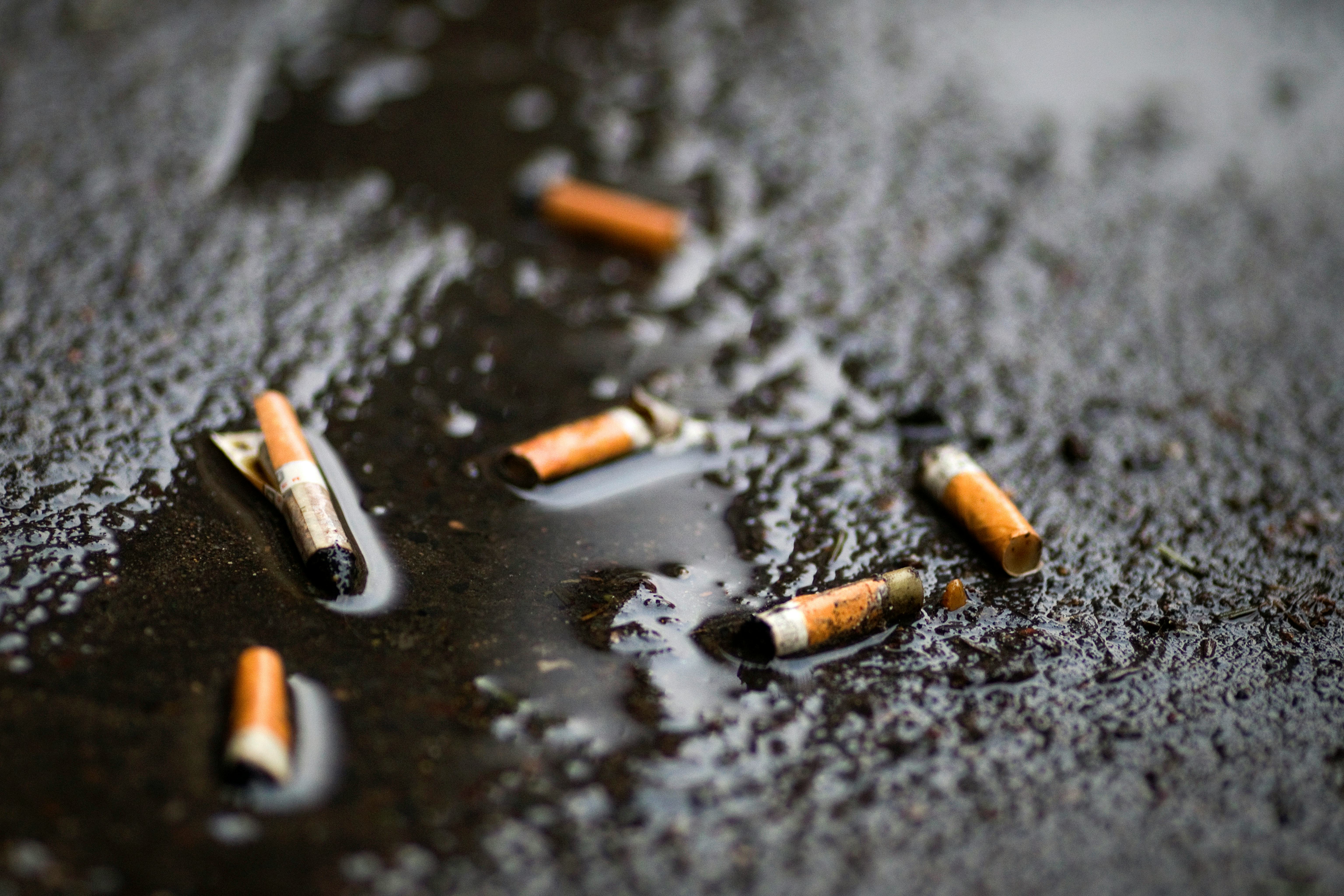 Cigarette butts may be the greatest source of ocean pollution, a new