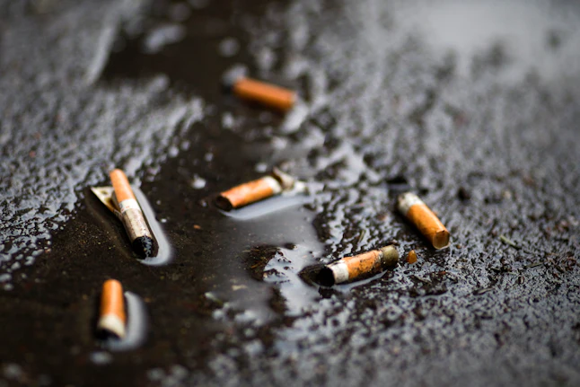 Cigarette butts may be the greatest source of ocean pollution, a new ...