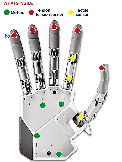 This Bionic Hand Has Restored a Man's Sense Of Touch. Here's How.