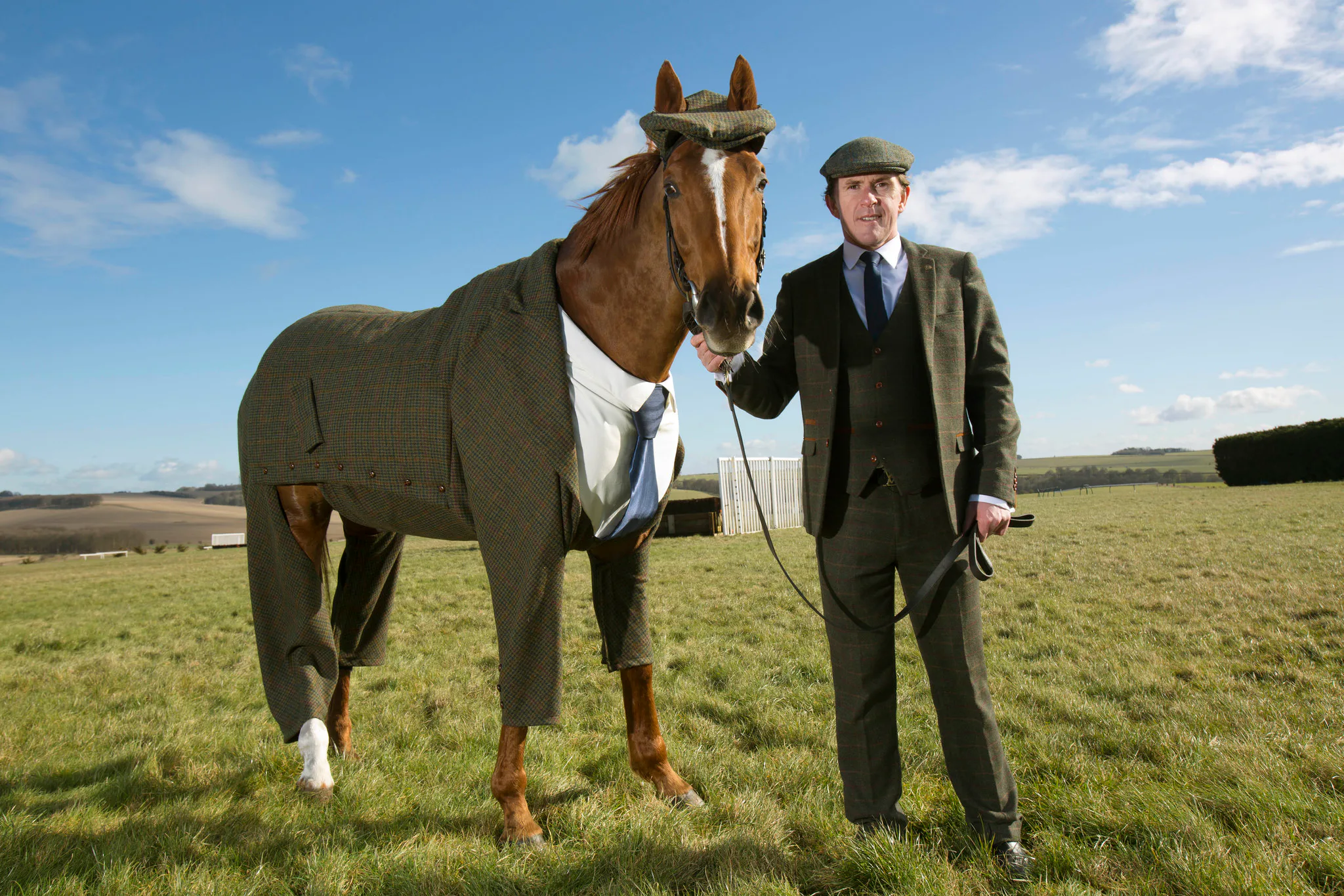 This Horse Is Wearing a Full-On 3-Piece Tweed Suit and He Looks Great