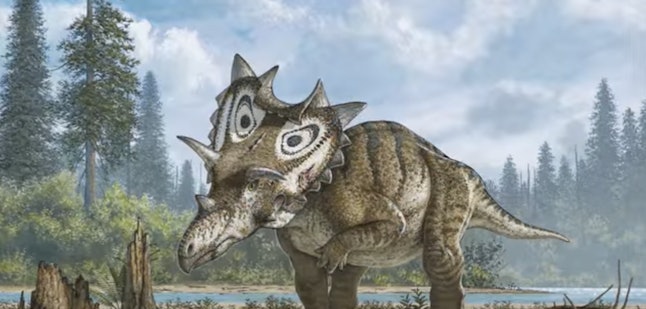 This Bizarre, Newly Discovered Dinosaur Had a Shield for a Head