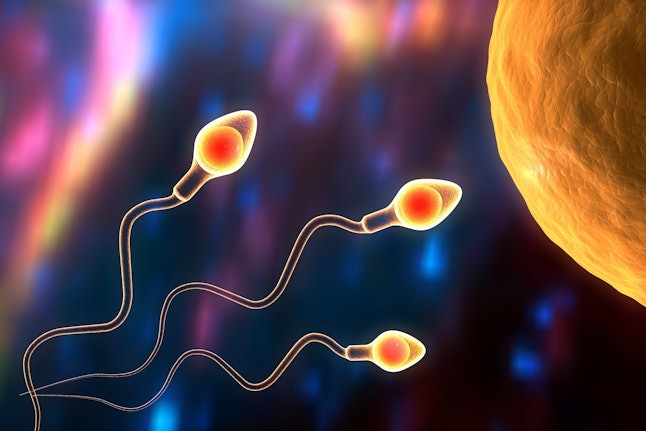 Birth Control For Men Contraceptive Injection Prevents Pregnancy In