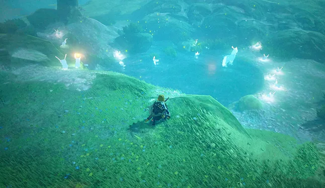 'Zelda: Breath of the Wild' Blupee: How to catch the glowing blue ...