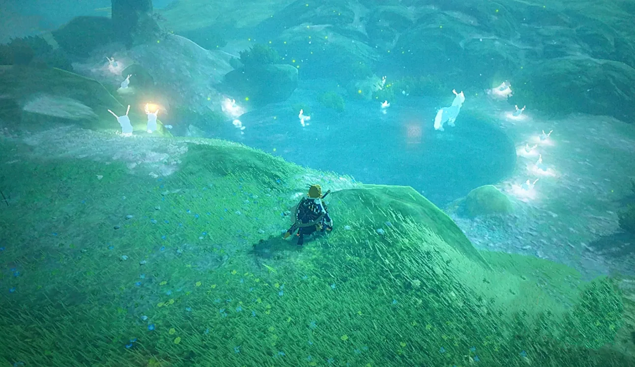 'Zelda: Breath of the Wild' Blupee: How to catch the glowing blue ...