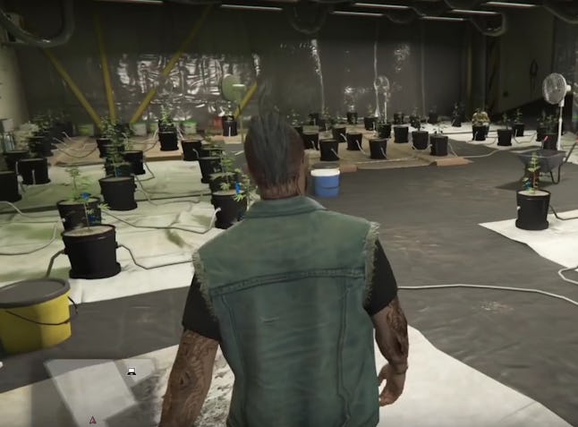 Gta Online Weed Farm Guide And Location Tips Worth Your Time In The Bikers Upgrade Gta Online Weed Farm Guide And Location Tips Worth Your Time In The Bikers Upgrade