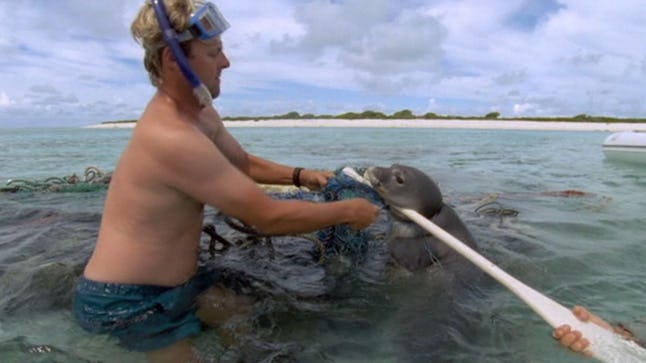 The 10 best Netflix nature documentaries The 10 best Netflix nature documentaries