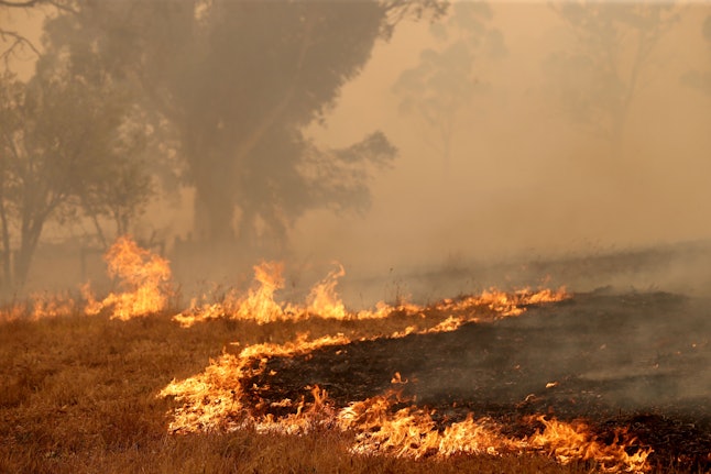 The Cuddle Creek fire destroys a plot of land at Woodside, in the Adelaide Hills in Adelaide, Australia, 20 December 2019. Two bushfires are burning out of control around the Adelaide Hills, prompting emergency warnings from the Country Fire Service.